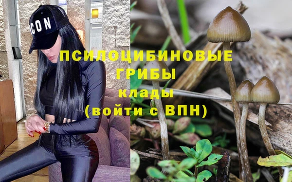 mdpv Абаза